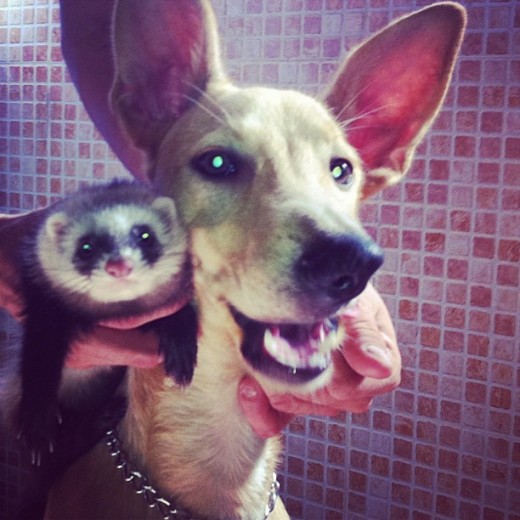 Dos de mis cuatro amores!!^^ Dos de mis cuatro amores!!^^